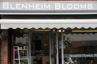 Blenheim Blooms 288324 Image 1